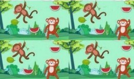 猴子吃瓜童谣大全集免费观看,免费观看，童趣盎然，欢乐无限