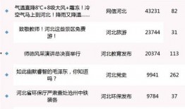 衡水爆料最新消息今天,揭秘今日重大事件真相！