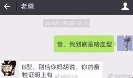搞笑爆料新闻视频大全,笑料百出！搞笑爆料新闻视频大盘点