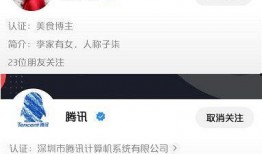 视频号认证爆料有用吗,揭秘其真实效用与价值