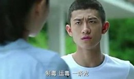 余罪2在线观看免费,在线免费观看，揭秘犯罪背后的真相