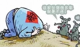 长春讨债爆料案件最新,揭秘背后惊人内幕与法律争议