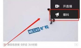 小视频爆料怎么赚钱,轻松实现财富增长