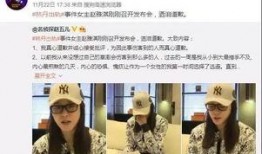 袁先生最新爆料新闻视频,最新爆料新闻视频深度解析