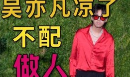 吃瓜嘉宾全集免费观看完整版,揭秘娱乐圈幕后真相，全集免费观看大揭秘