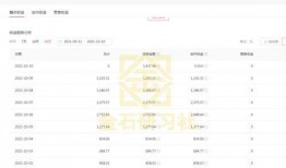 爆料中视频计划是什么,视频计划背后的神秘内容与目标