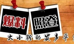 免费新闻爆料平台,如何助力公众知情权