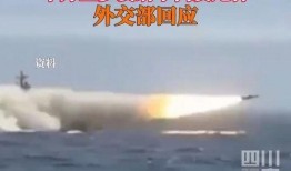 新闻爆料临沂大雁哥视频,揭秘背后感人故事
