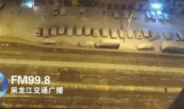 暴雪最新爆料视频大全,揭秘游戏新篇章与未来展望