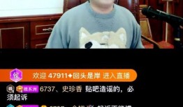 平江最新爆料事件视频播放,视频揭秘事件真相，引发网友热议