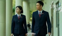 检察官在线观看,在线庭审新篇章