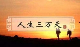 享受人生在线观看,在线观看“享受人生”