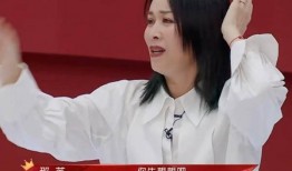 杨兰团队爆料是真的吗视频,杨兰团队爆料视频真实性揭秘