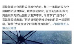 罗志祥最新身家爆料,揭秘娱乐圈“小猪”的财富传奇