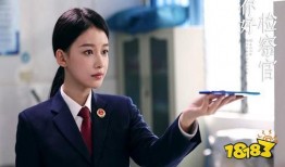 检察官在线观看,在线庭审新篇章