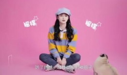 圈内爆料周洁琼,揭秘娱乐圈背后的璀璨星途
